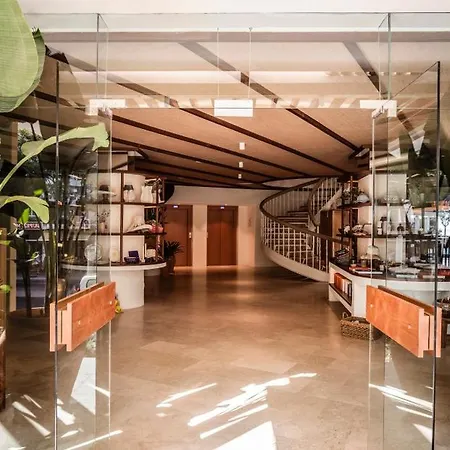 Hotel Zel Mallorca (adults Only) Palmanova